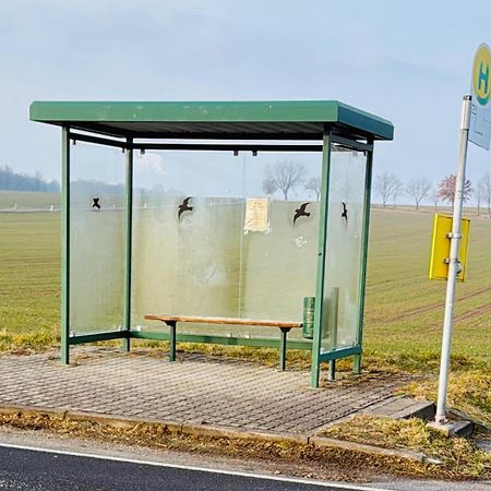 Berzi Ferienwohnung 1 Goerlitz المظهر الخارجي الصورة